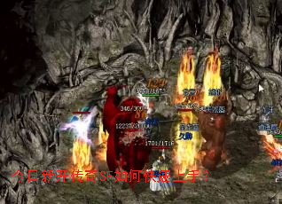 �����¿�����SF��ο������֣�