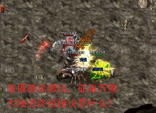 �����޻꼤��������޴�½���ռ��ؾ���ʲô��