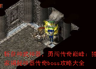 ն´۷壺ҽbossԴȫ