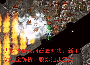 ˽۷Ծ淨ȫ