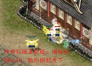 ˽棺ȫƷIDɨ