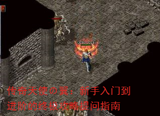 ʹŵ׵ռָ