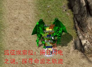 Զҿ֮գ̽Ѱ֮켣