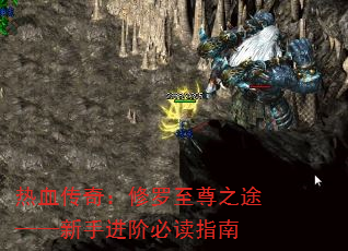 Ѫ棺֮;ֽױضָ