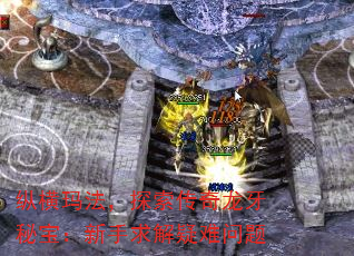 ݺ귨̽ر