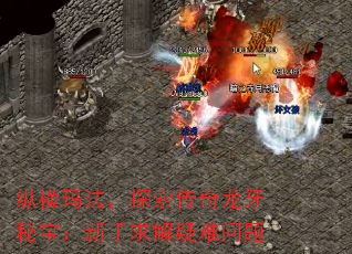 ݺ귨̽ر