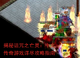 ֮飺ĴϷ꾡ָ