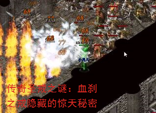 ʥ֮գѪɲ֮صľ