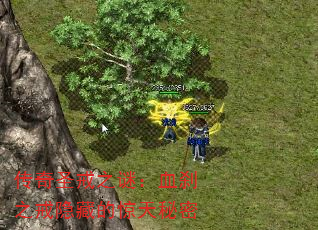 ʥ֮գѪɲ֮صľ