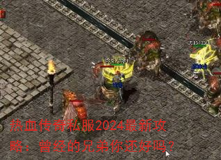 Ѫ˽2024¹ԣֵ㻹