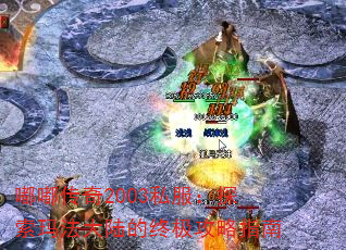 ུ2003˽̽귨½ռָ