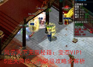 ˫ؼ̬VIP15콵٣˵ȫ