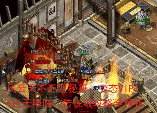 ˫ؼ̬VIP15콵٣˵ȫ