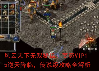 ˫ؼ̬VIP15콵٣˵ȫ