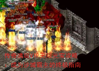 VIPԪԣΪɳǰռָ