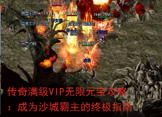 VIPԪԣΪɳǰռָ