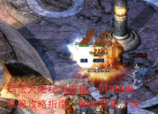 귨½Žأ019˽ָϣưɳ