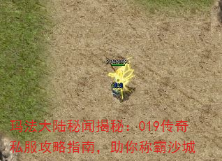귨½Žأ019˽ָϣưɳ