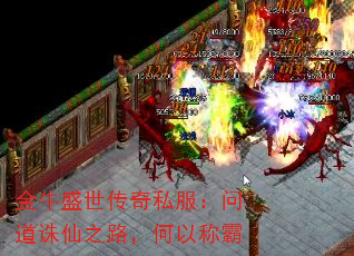ţʢ˽ʵ֮·Գư