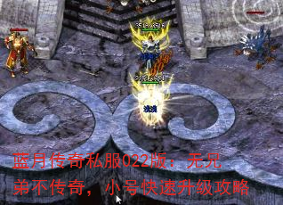 ´˽022棺ֵܲ棬Сſ