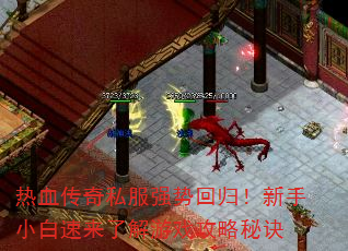 Ѫ˽ǿƻع飡С˽Ϸؾ