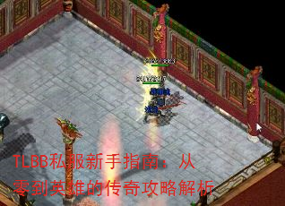 TLBB˽ָϣ㵽Ӣ۵Ĵ湥Խ