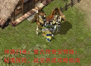 Ŵ棺ؾ̽գսɹָ