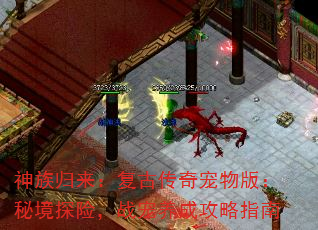 Ŵ棺ؾ̽գսɹָ
