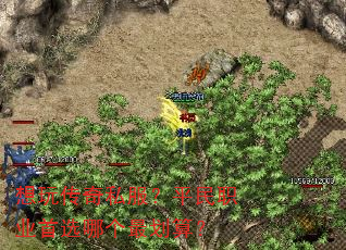 洫˽ƽְҵѡĸ㣿