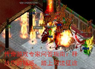 Ϸרʴָϣͷɻ̤귨;