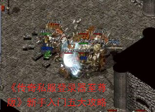 ˽¼桷