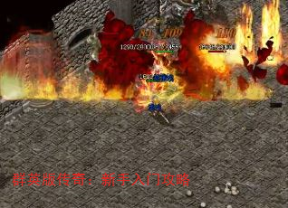 ȺӢ洫棺Ź