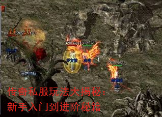 ˽淨أŵؼ