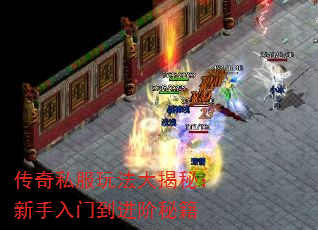 ˽淨أŵؼ