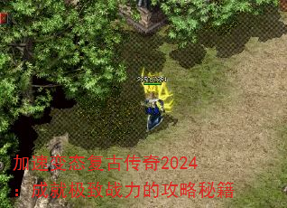 ٱ̬Ŵ2024ɾͼսĹؼ