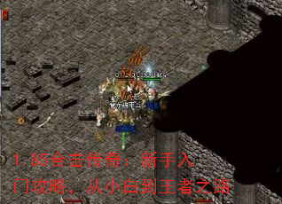 1.85ϻ棺ŹԣС׵֮·