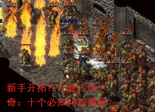 ֿ1.76Ŵ棺ʮ֪