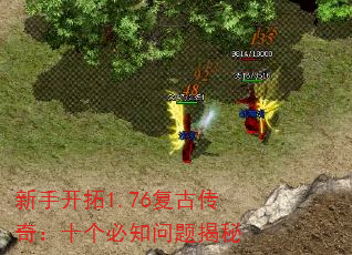ֿ1.76Ŵ棺ʮ֪
