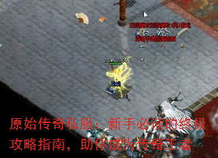 ԭʼ˽ֱضռָϣΪ