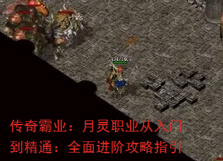 ҵְҵŵͨȫ׹ָ