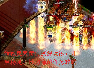 紫ңؾ֮ص