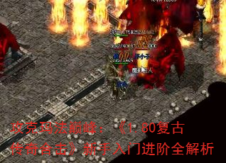 귨۷壺1.80ŴϻŽȫ