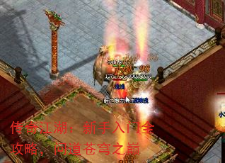 潭ȫԣʵ֮