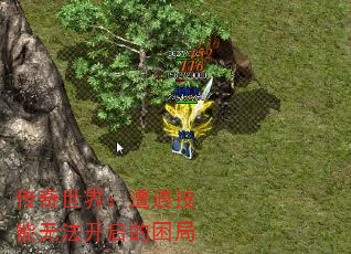 磺޷