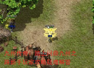 ݴ棺̤ʶ֮·ҹѽ