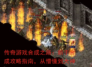 Ϸϳ֮·ֺϳɹָϣ¶