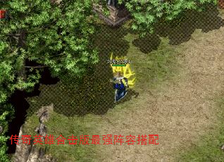 Ӣۺϻǿݴ