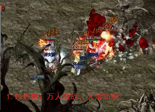 1.95棺˼ս˺糱