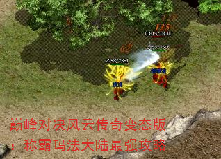 ۷Ծƴ̬棺ư귨½ǿ