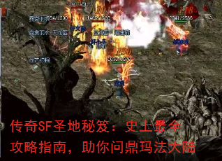 SFʥţʷȫָϣʶ귨½